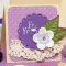 TWB-19012 (3)